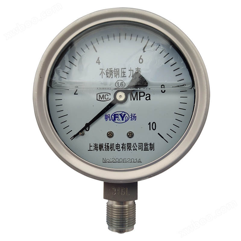 Y series all stainless steel pressure gauge, all stainless steel shock resistant pressure gauge